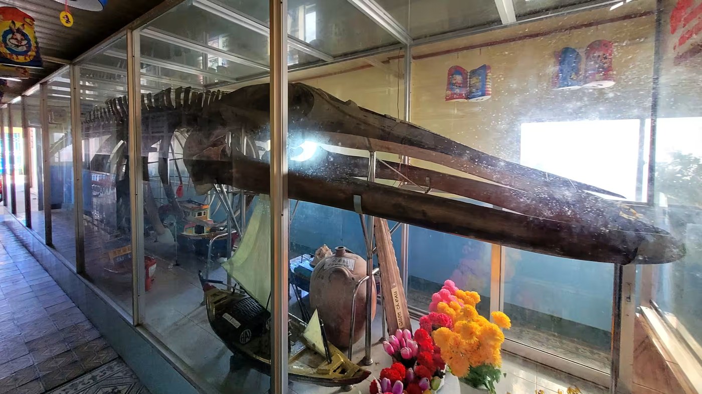 Vietnam's whale temples reveal secrets of the sea