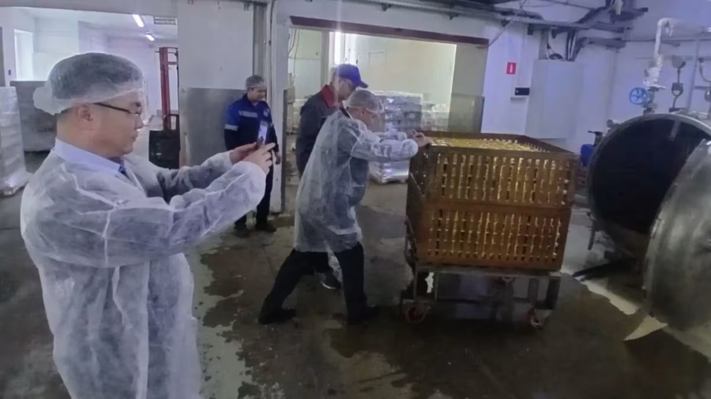 Russia imports North Korean workers disguised as students, report shows